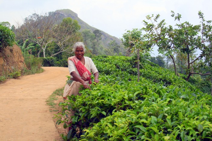 Ella - Little Adam's Peak / foto: dovolenkářka