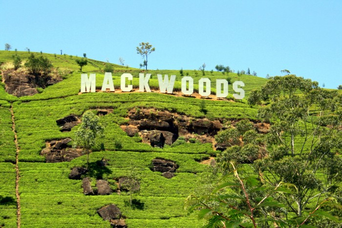 Mackwoods / foto: dovolenkářka