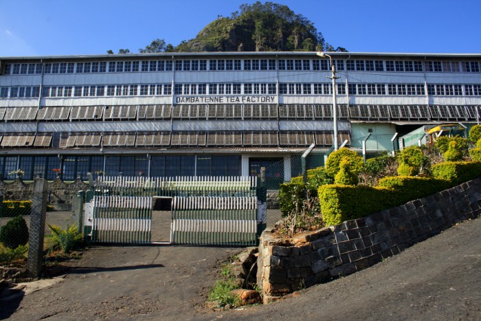 Tea Factory / foto: dovolenkářka