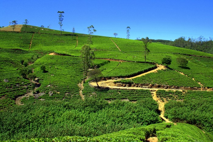 Mackwoods / foto: dovolenkářka