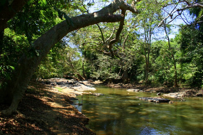 Kataragama / foto: dovolenkářka