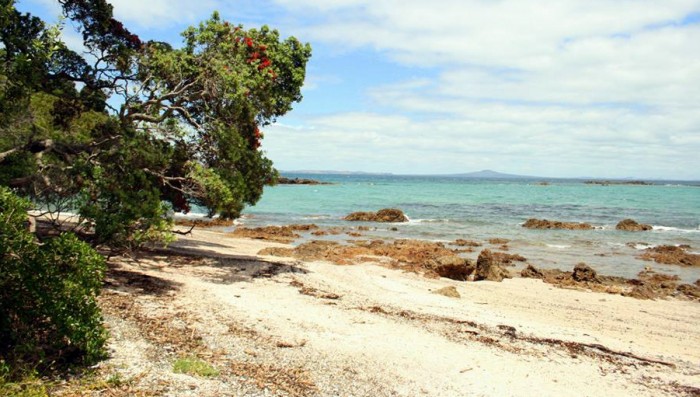 Tiritiri Island / foto: dovolenkářka
