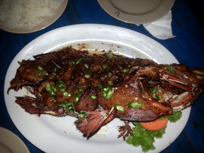 Srí Lanka / dovolenkářka