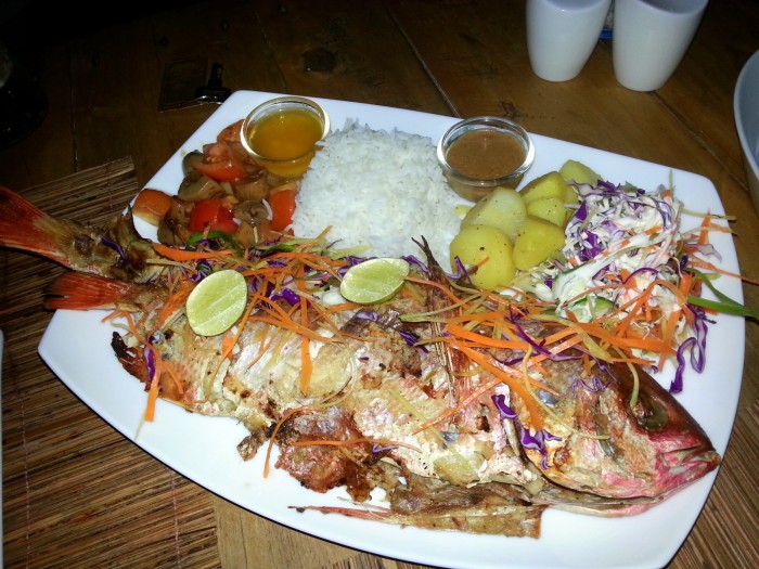 Srí Lanka / dovolenkářka