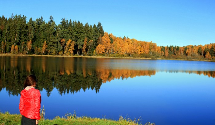 Šumava- Křišťanovický rybník / foto: dovolenkářka