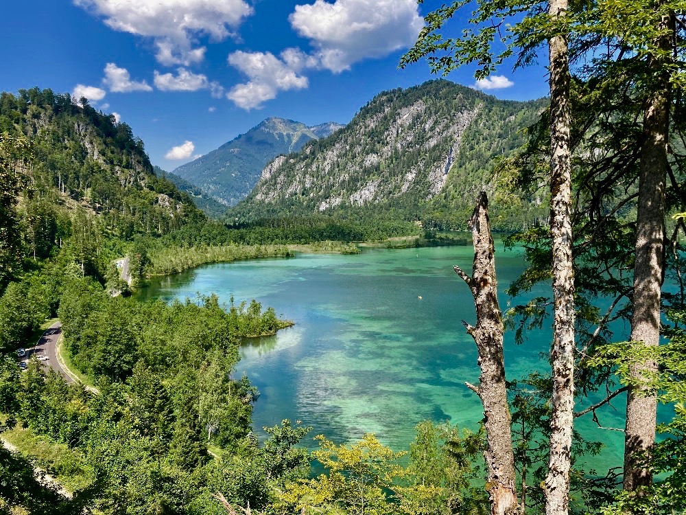 Rakouská jezera: Almsee