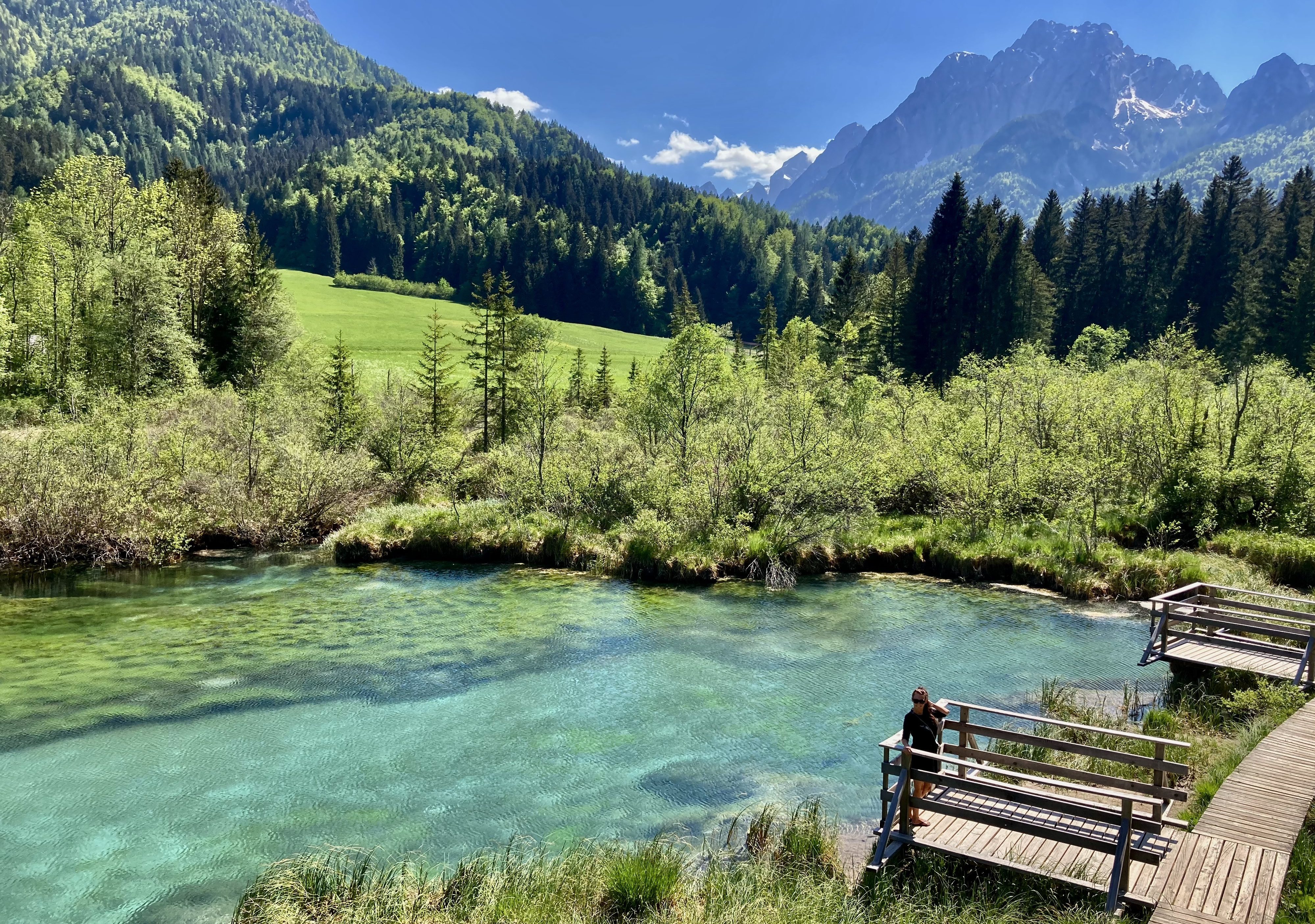 Das Naturschutzgebiet Zelenci