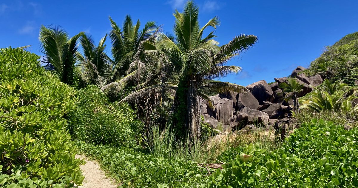 Výlet na La Digue