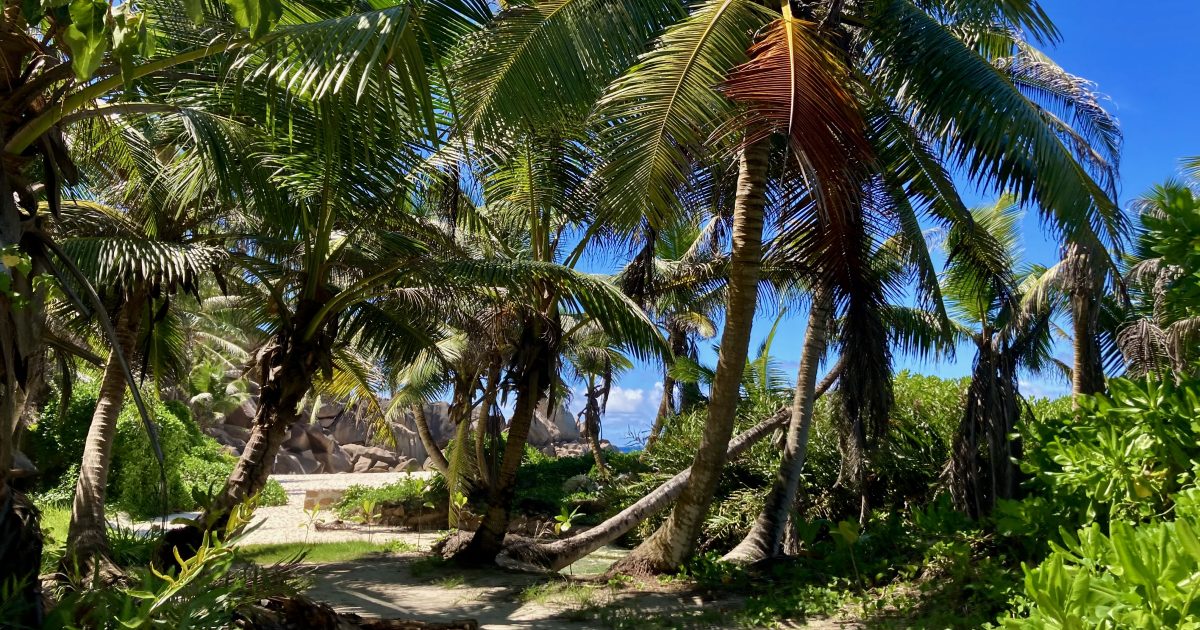 Výlet na La Digue