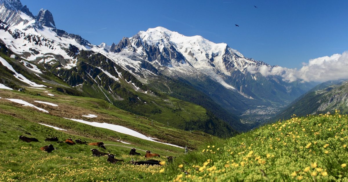 Chamonix Mont Blanc