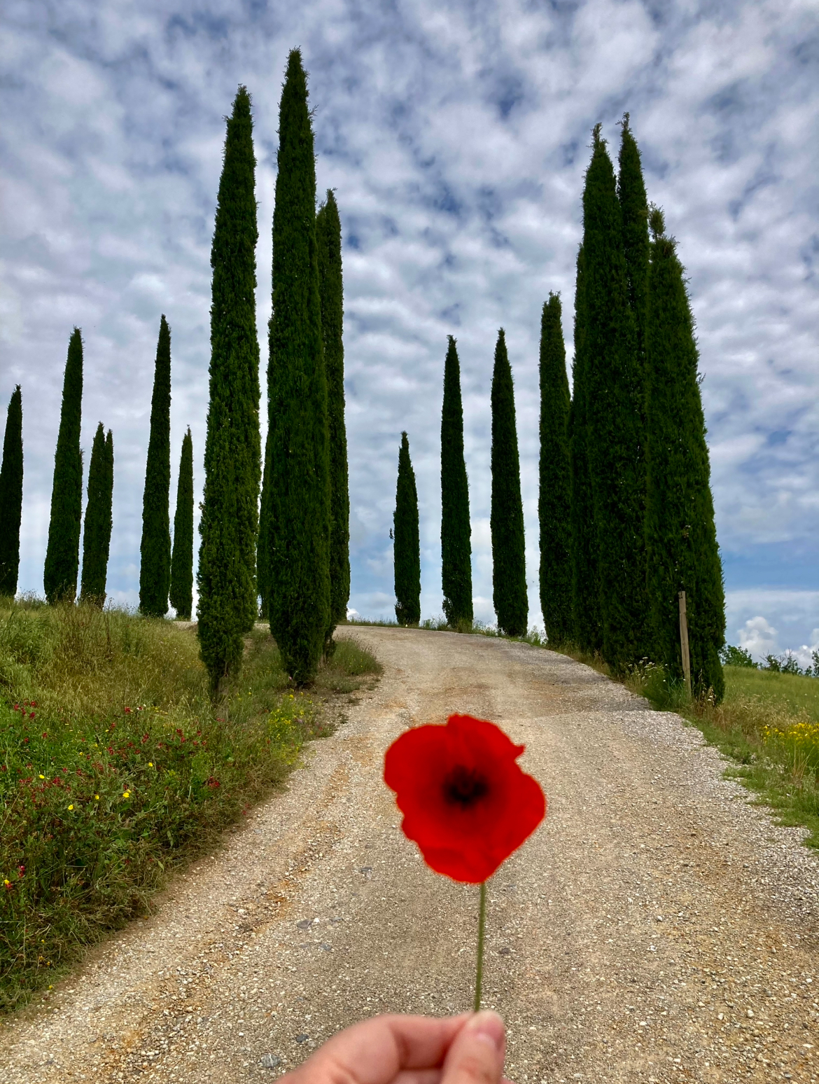 Toskánsko - Dovolenkářka