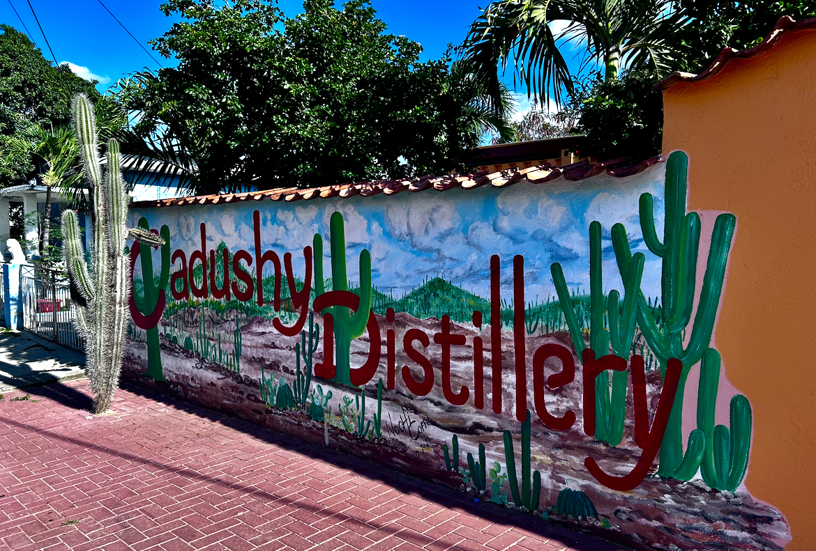 Bonaire výlety / Co dělat na ostrově Bonaire