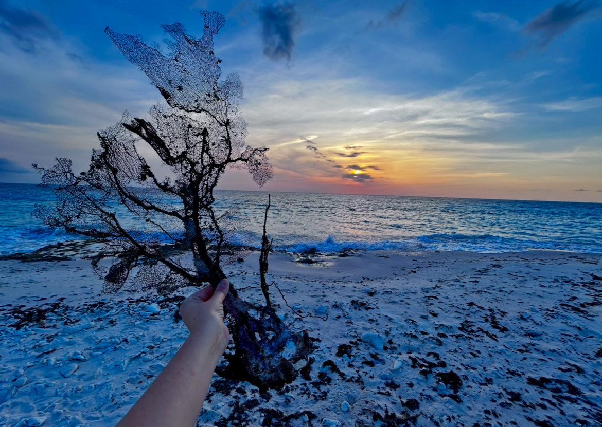 Bonaire výlety / Co dělat na ostrově Bonaire