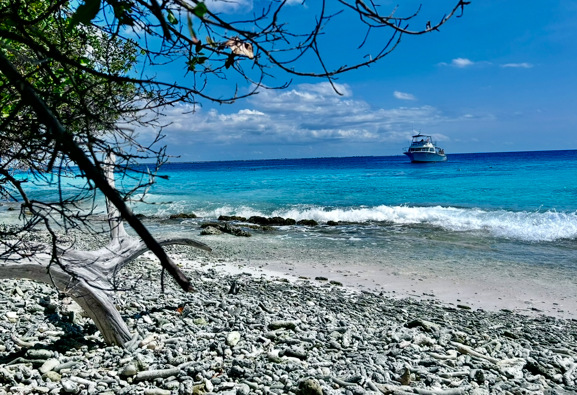 Bonaire výlety / Co dělat na ostrově Bonaire