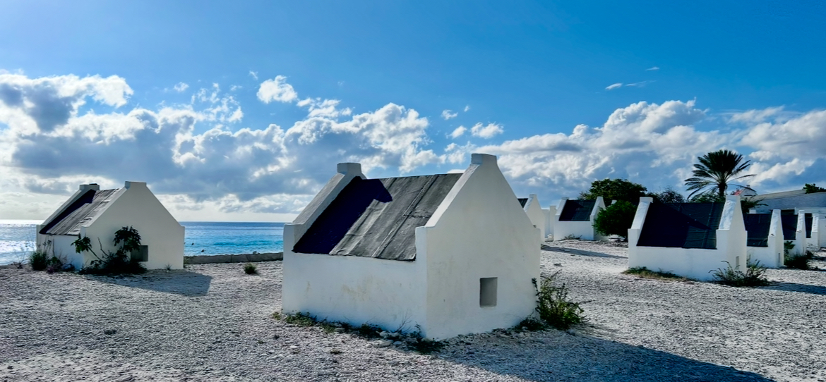 Bonaire výlety / Co dělat na ostrově Bonaire