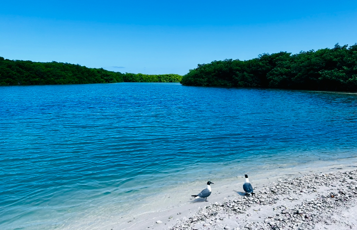 Bonaire výlety / Co dělat na ostrově Bonaire