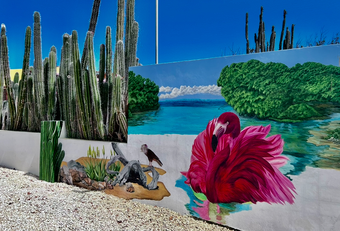 Bonaire výlety / Co dělat na ostrově Bonaire