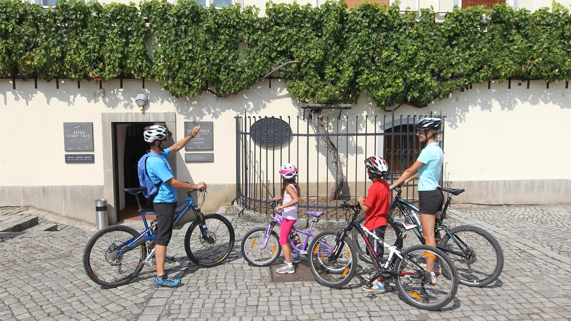 Maribor Stará réva