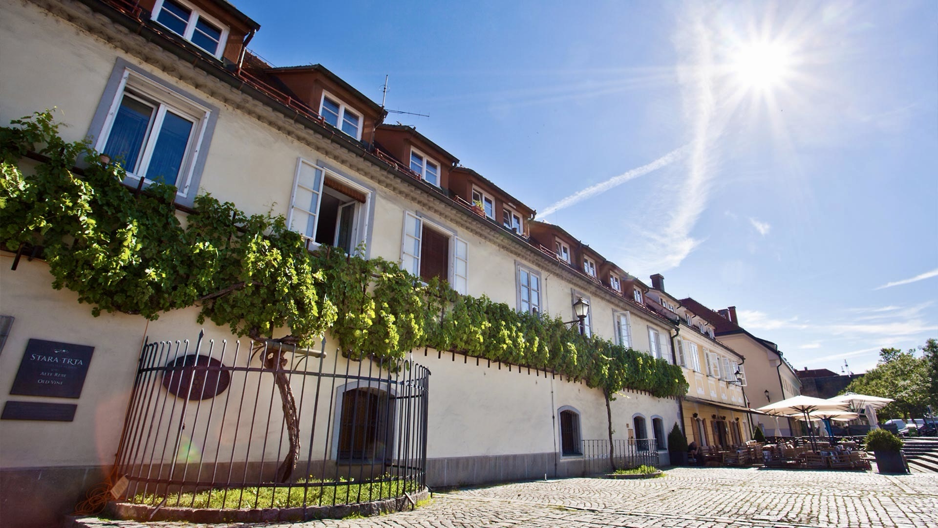 Maribor Stará réva