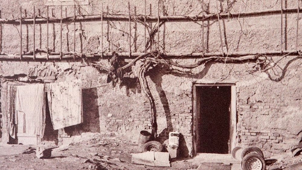 Maribor Stará réva