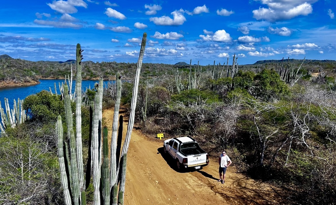 Bonaire výlety / Co dělat na ostrově Bonaire