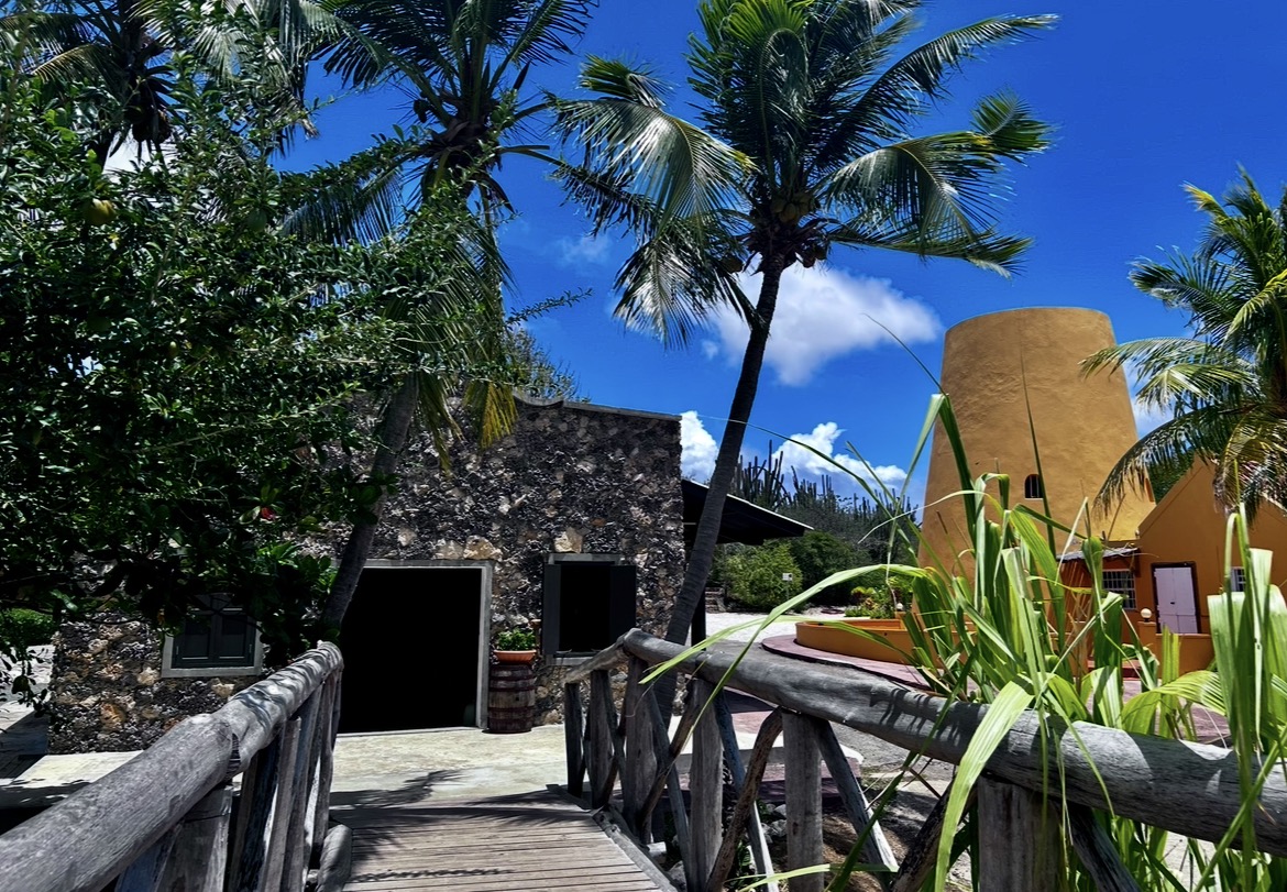 Hofi Mango - Curacao