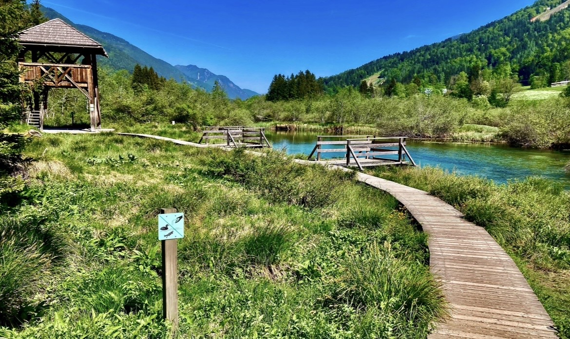 Kranjska Gora Slovinsko - Zelenci Nature Reserve - Dovolenkářka Kranjska Gora Slovinsko - Zelenci Nature Reserve