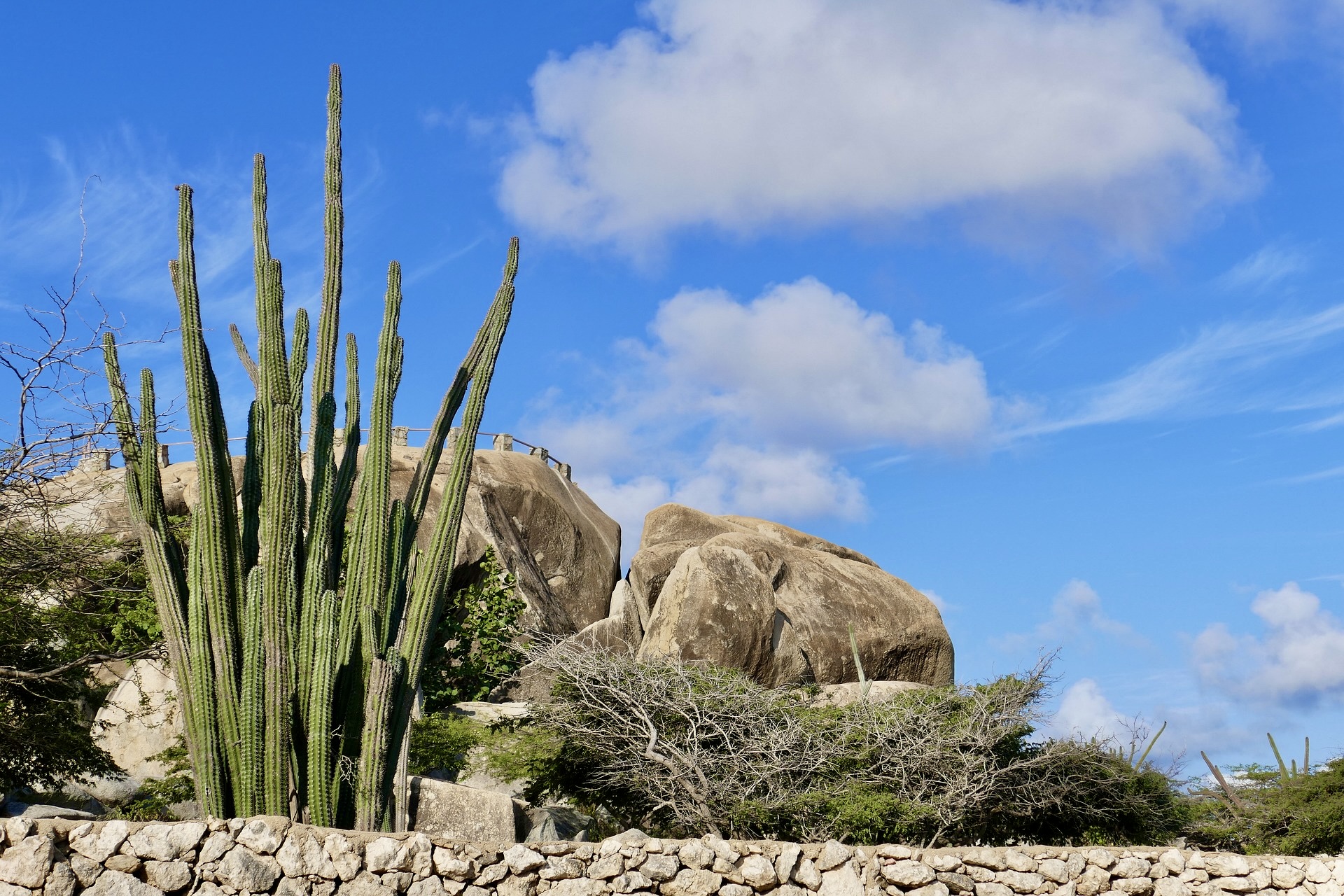 Aruba - Co dělat na Arubě