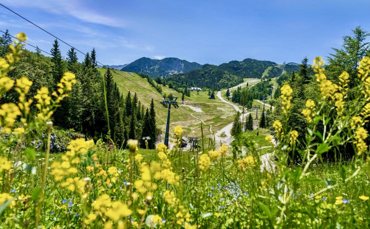 Vogel v lete Slovinsko