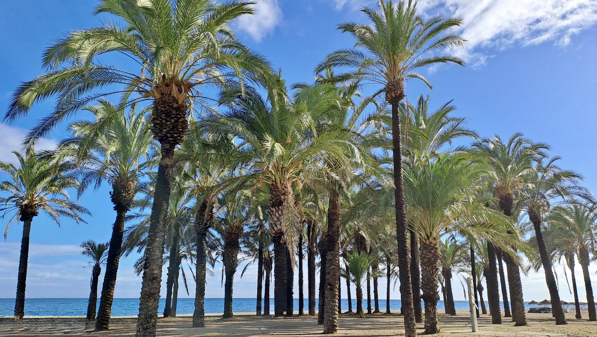 Malaga pláže - Dovolenkářka Malaga pláže