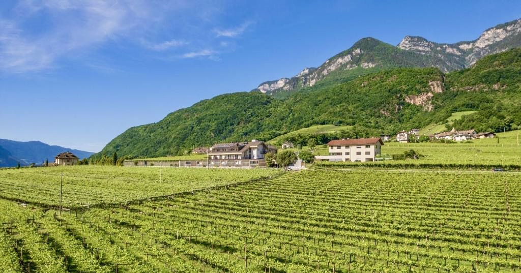 KALTERER SEE - Lago di Caldaro / Garni Hotel Sonnleitenhof