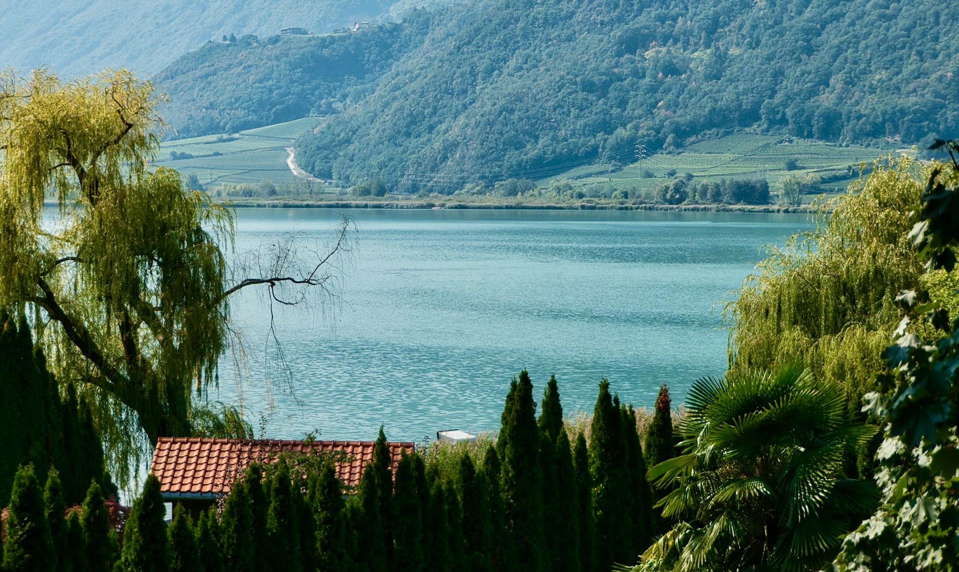 Kalterer See - Lago di Caldaro