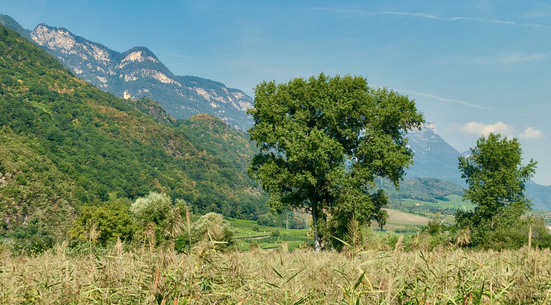 Lago di Caldaro - Kalterer See