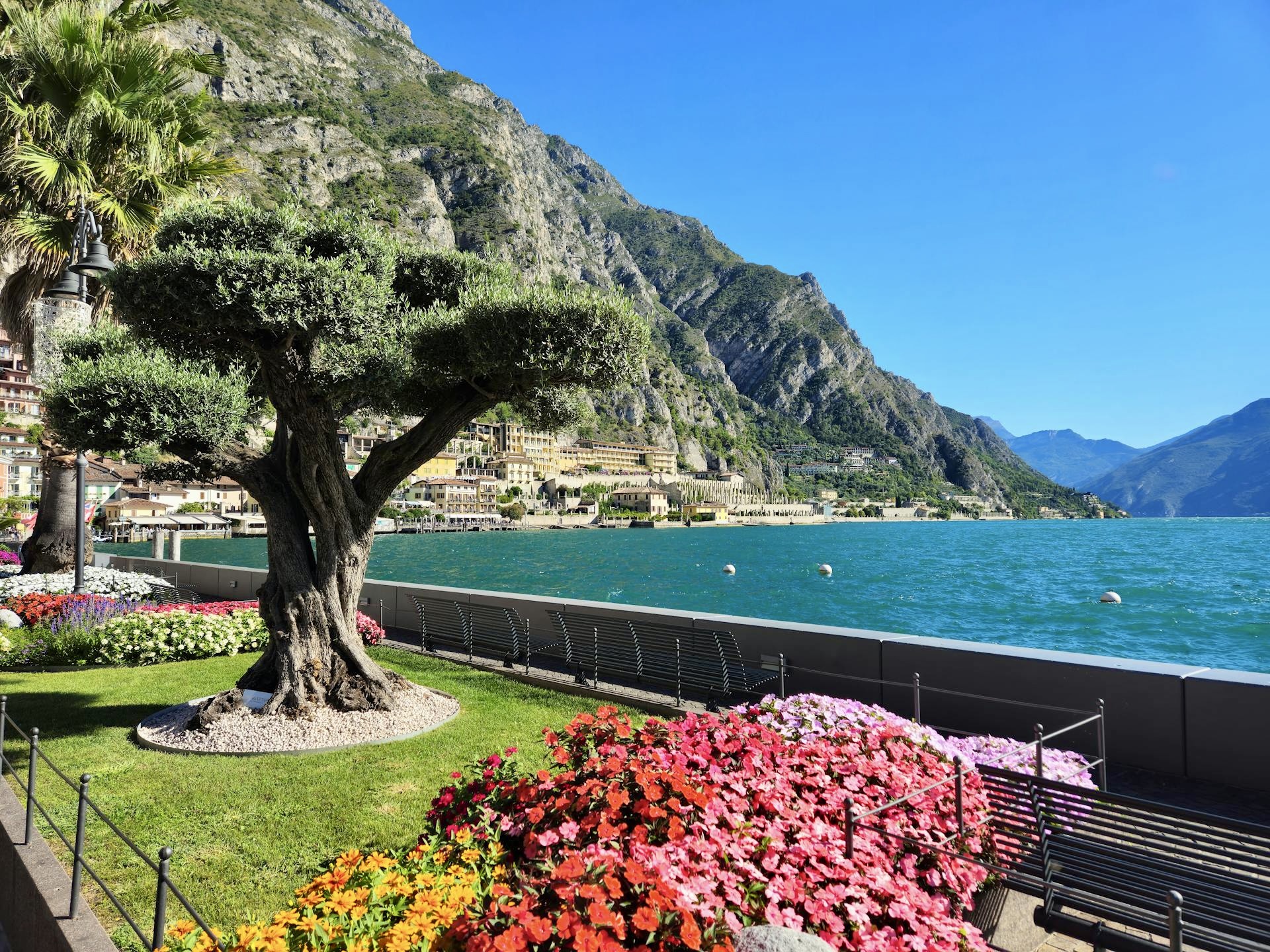 Limone sul Garda - Lago di Garda v létě - Dovolenkářka Limone sul Garda - Lago di Garda v létě